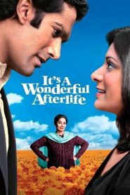 Yify It’s a Wonderful Afterlife 2010