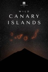 Yify Wild Canary Islands 2021