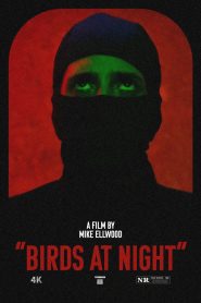Yify Birds at Night 2024
