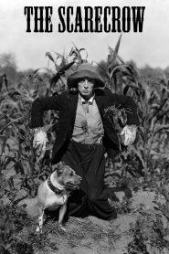 Yify The Scarecrow 1920