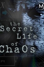 Yify The Secret Life of Chaos 2010