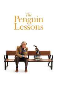 Yify The Penguin Lessons 2025