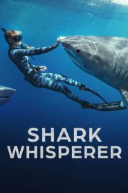 Yify Shark Whisperer 2025
