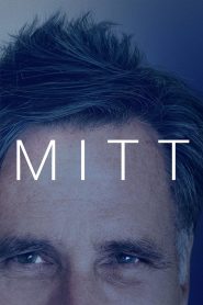 Yify Mitt 2014