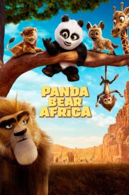 Yify Panda Bear in Africa 2024