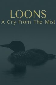 Yify Loons: A Cry from the Mist 2023