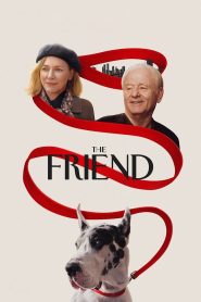 Yify The Friend 2025