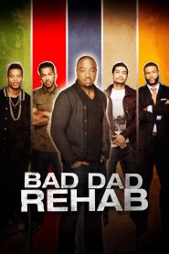Yify Bad Dad Rehab 2016
