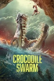 Yify Crocodile Swarm 2024