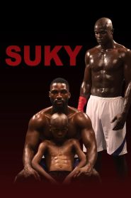 Yify Suky 2025