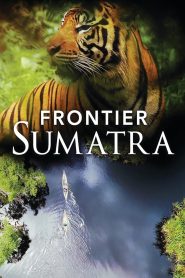 Yify Frontier Sumatra 2019