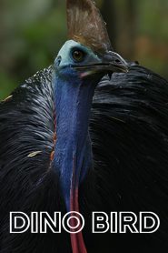 Yify Dino Bird 2017