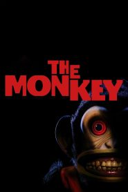Yify The Monkey 2025