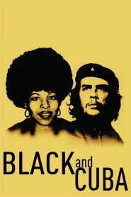 Yify Black and Cuba 2015