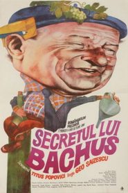 Yify The Secret of Bacchus 1984
