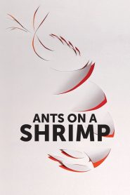 Yify Ants on a Shrimp 2017