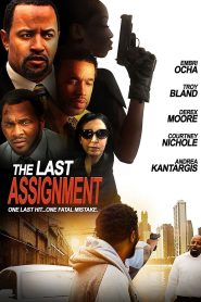 Yify The Last Assignment 2014