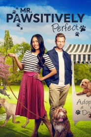 Yify Mr. Pawsitively Perfect 2023