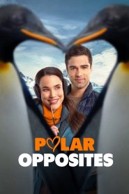 Yify Polar Opposites 2025