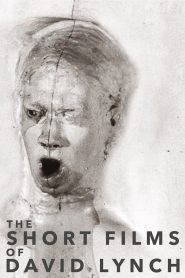 Yify The Short Films of David Lynch 2002