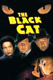 Yify The Black Cat 1941