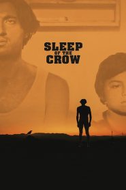 Yify Sleep of the Crow 2024