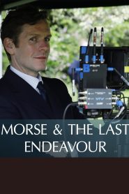 Yify Morse and the Last Endeavour 2023
