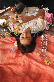 Yify Blossoms Under Somewhere 2024