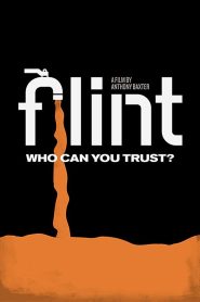 Yify Flint 2020