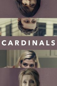 Yify Cardinals 2017