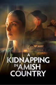 Yify A Kidnapping in Amish Country 2024