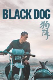 Yify Black Dog 2024
