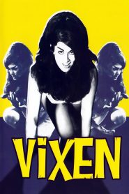 Yify Vixen! 1968