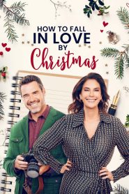Yify How to Fall in Love by Christmas 2023