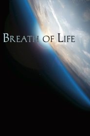 Yify Breath of Life 2015