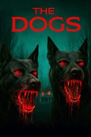Yify The Dogs 2025