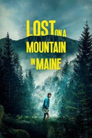Yify Lost on a Mountain in Maine 2024