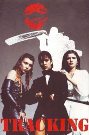 Yify Tracking 1987