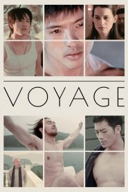 Yify Voyage 2013