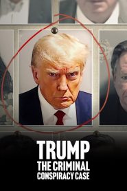 Yify Trump: The Criminal Conspiracy Case 2024