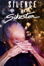 Yify Silence in Sikeston 2024