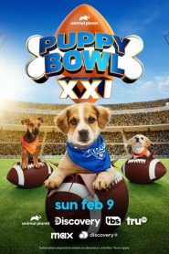 Yify Puppy Bowl XXI 2025