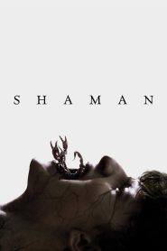 Yify Shaman 2025