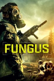Yify Fungus 2023