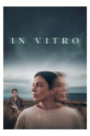 Yify In Vitro 2025
