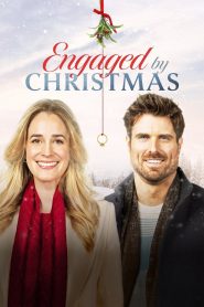 Yify Engaged by Christmas 2024