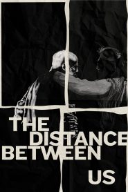 Yify The Distance Between Us 2024