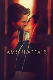 Yify Amish Affair 2024