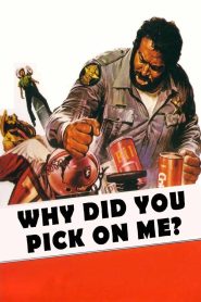 Yify Why Did You Pick On Me? 1980