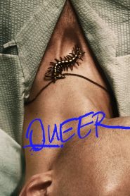 Yify Queer 2024